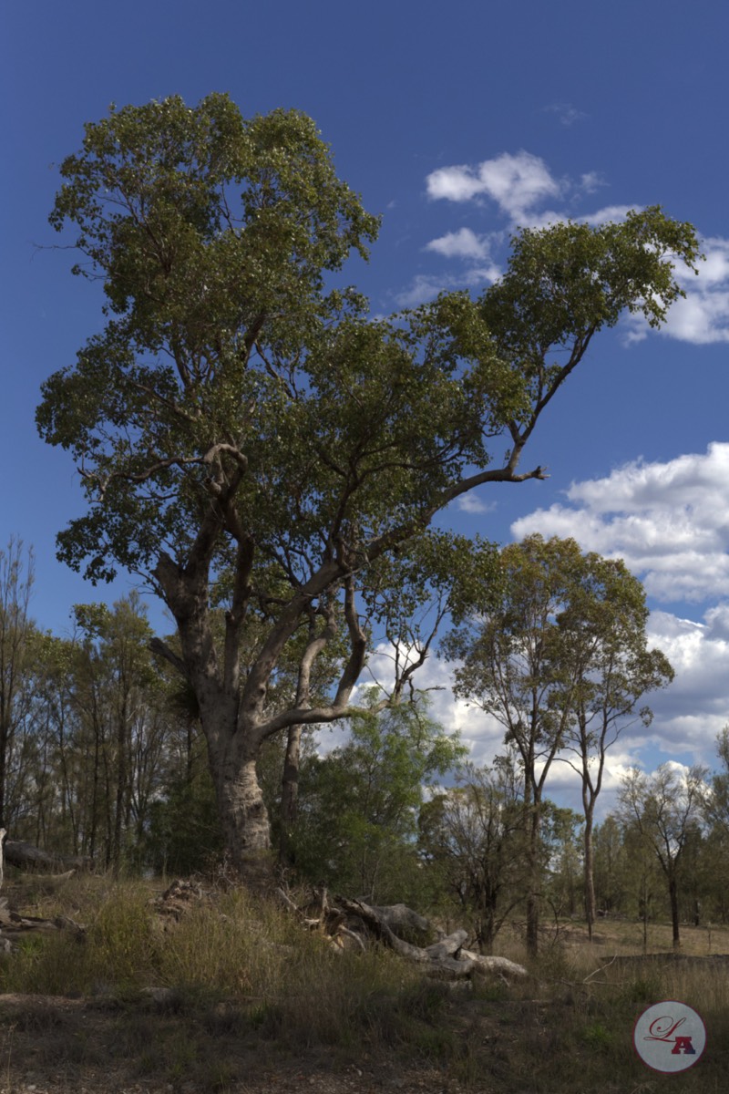 Stacks Image 80